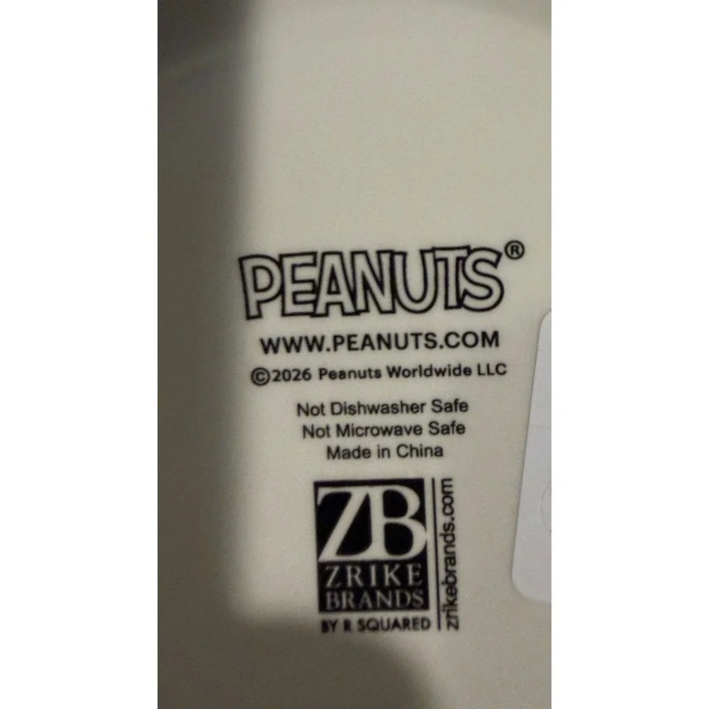 Peanuts Gang Snoopy Pink Halloween Party Ceramic Candy or Cookie Jar Canister